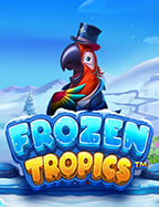 เว็บพนันออนไลน์ สล็อตที่ดีที่สุด สำหรับการทดลองเล่น